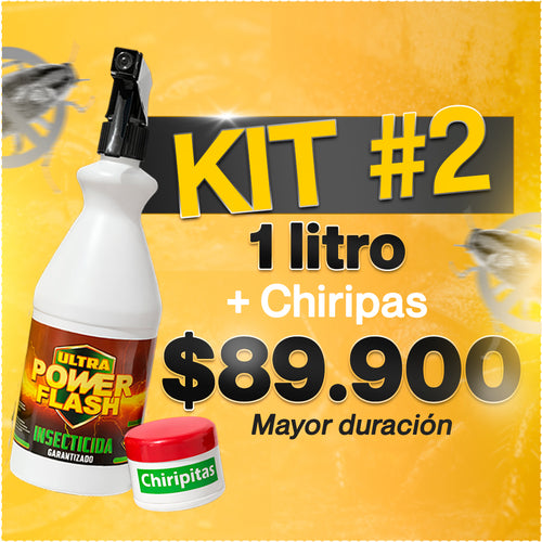 Power Flash Insecticida