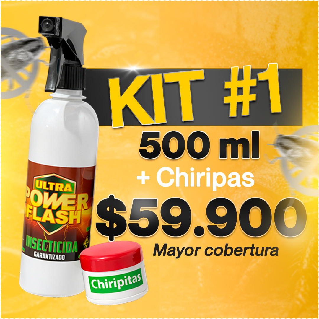 Power Flash Insecticida
